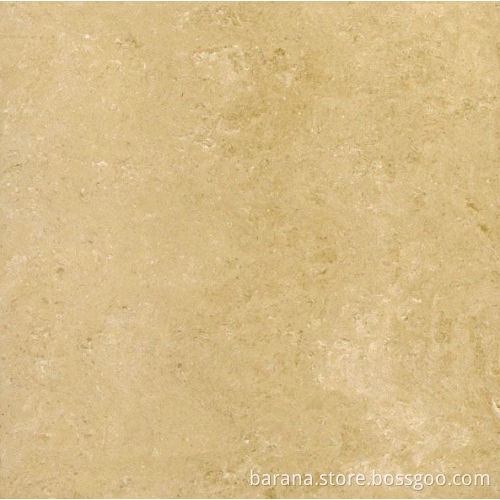 Porcelain Tile (6134P)